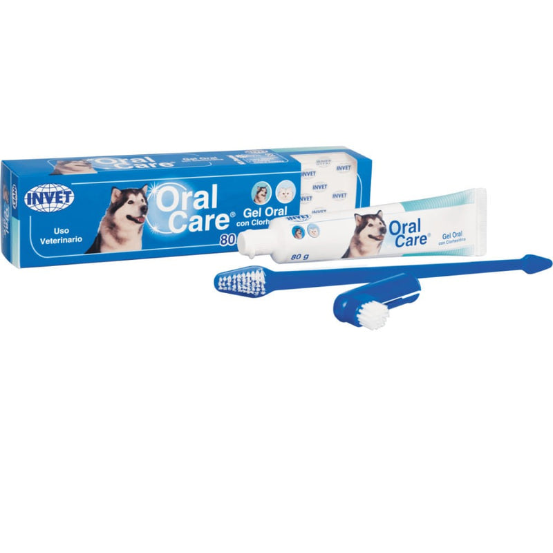 ORAL CARE GEL ANTISÉPTICO